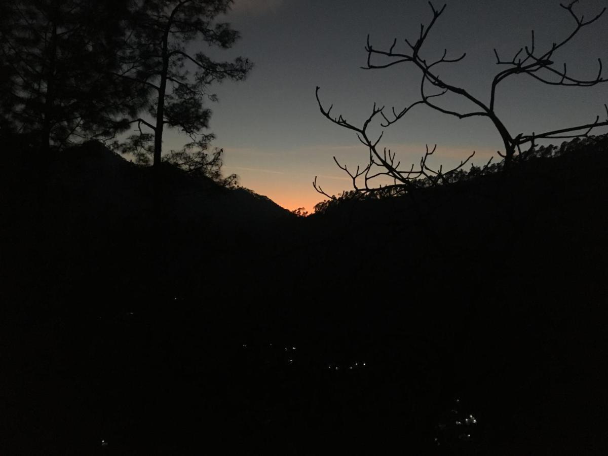 Forest Acres Camps Mukteshwar Exterior foto